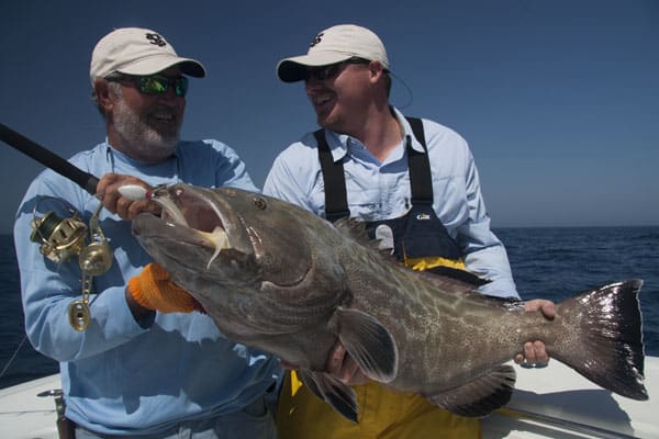 07 - olander - black grouper, key west, img_0060.jpg