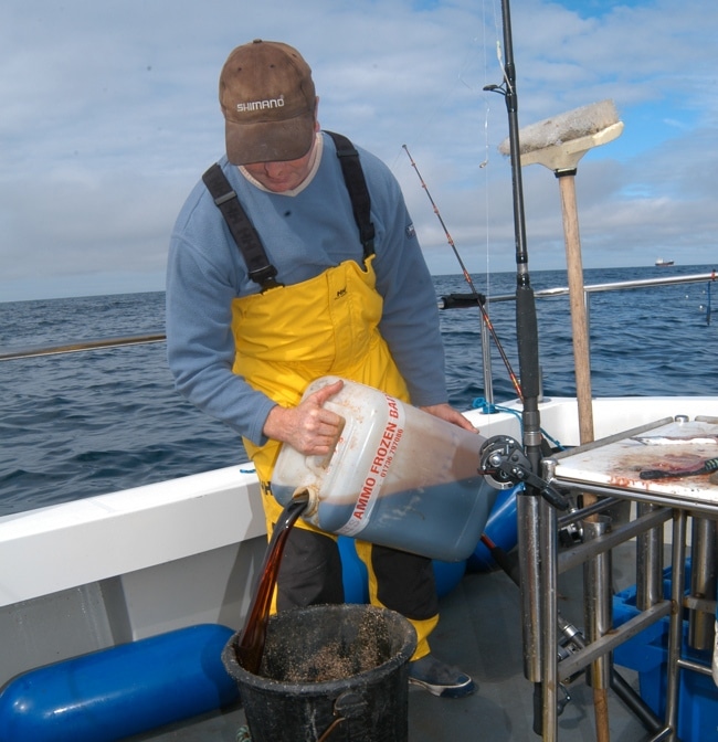 07 adding pilchard oil to chum - dsc_0033.jpg