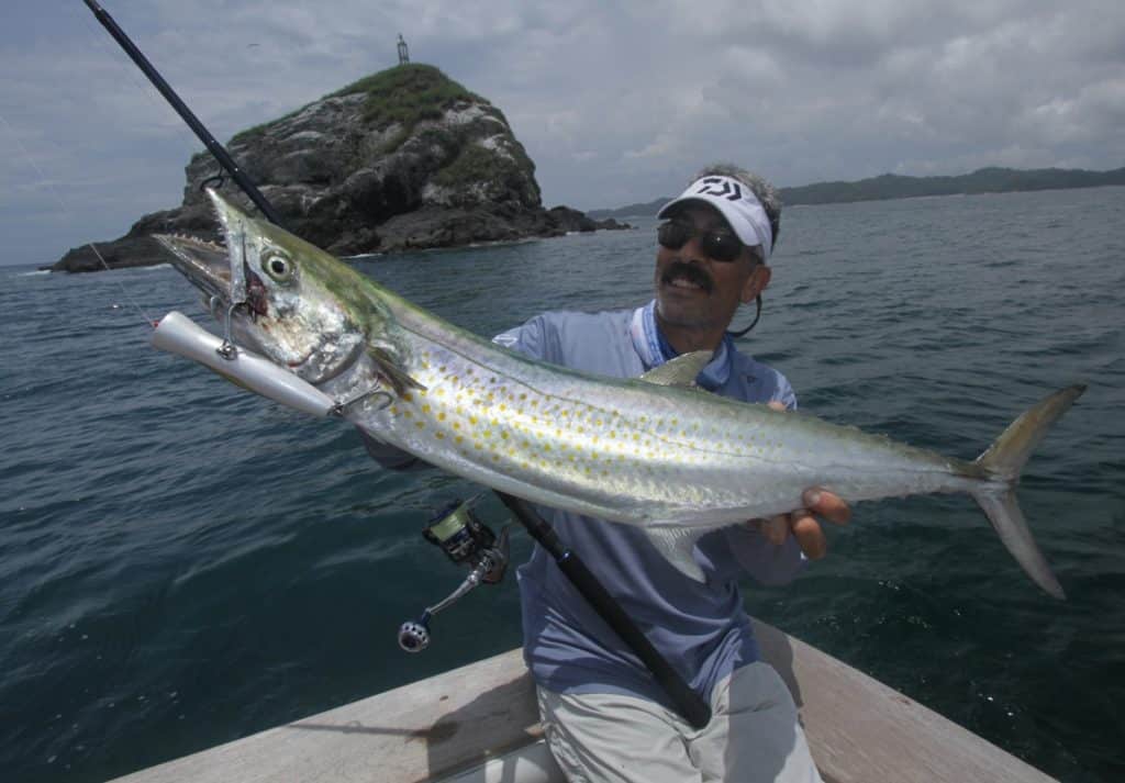 Angler with a Sierra mackerel fish caught on a popper lure in Panama