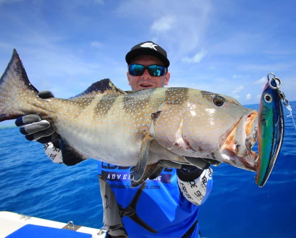 Fisherman holding coral trout caught fishing with surface lures