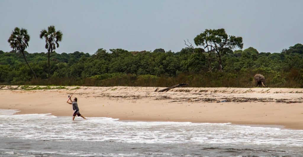 Fishing Gabon's Breathtaking Beaches - fishing with elephants