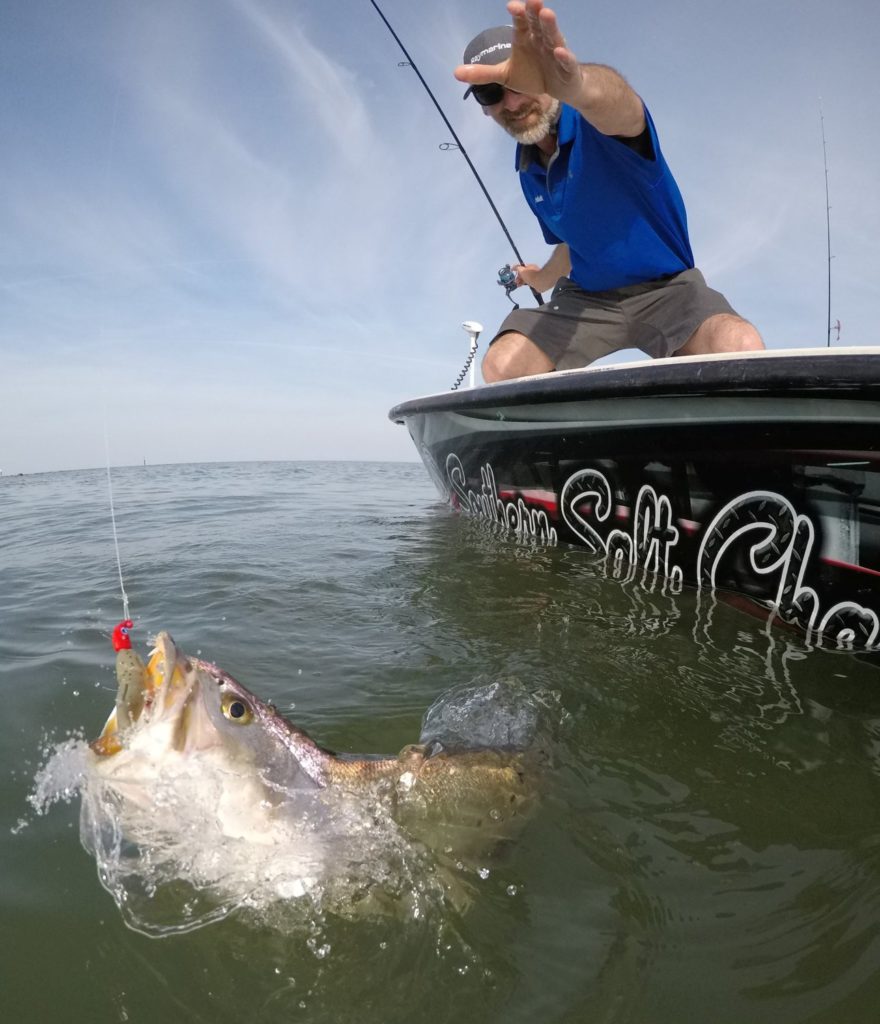 Angler reaches for a hooked seatrout