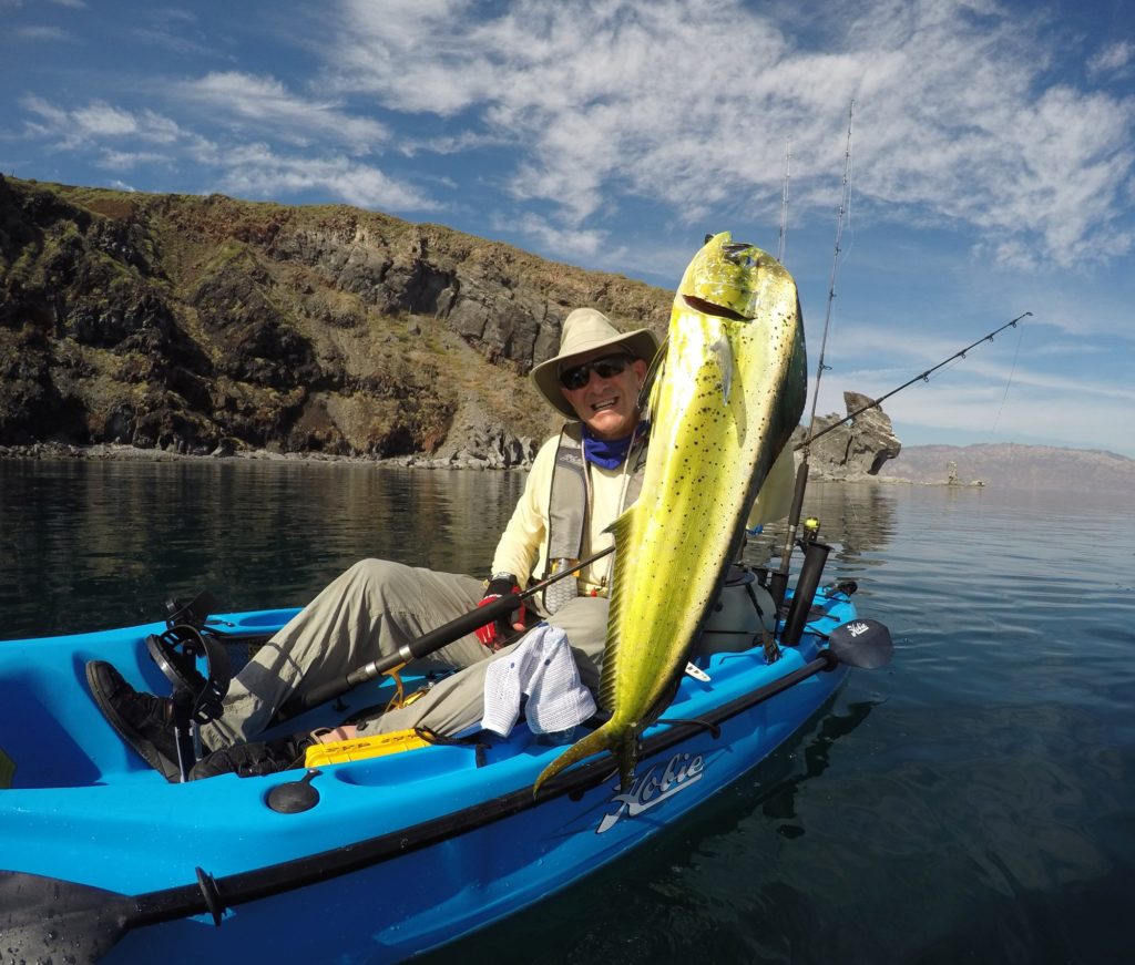 dolphinfish caught saltwater kayak fishing Baja's central Sea of Cortez near Loreto