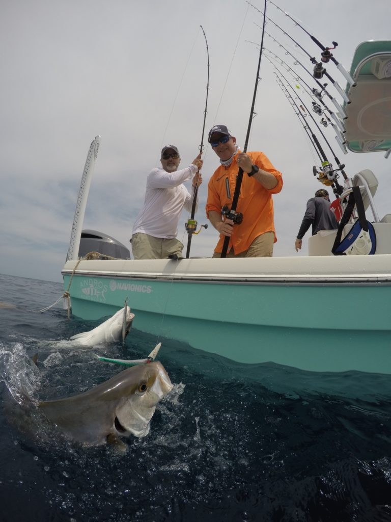 amberjack caught fishing Marco Island, Florida