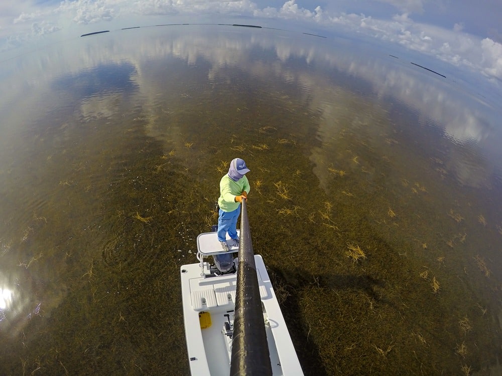 Poling flats for redfish saltwater fishing from skiff in Florida Bay