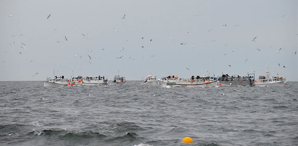 Herring netters PEI