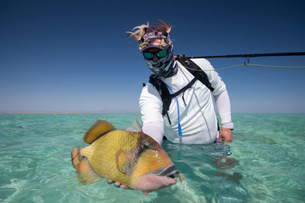 Triggerfish fly fishing Red Sea