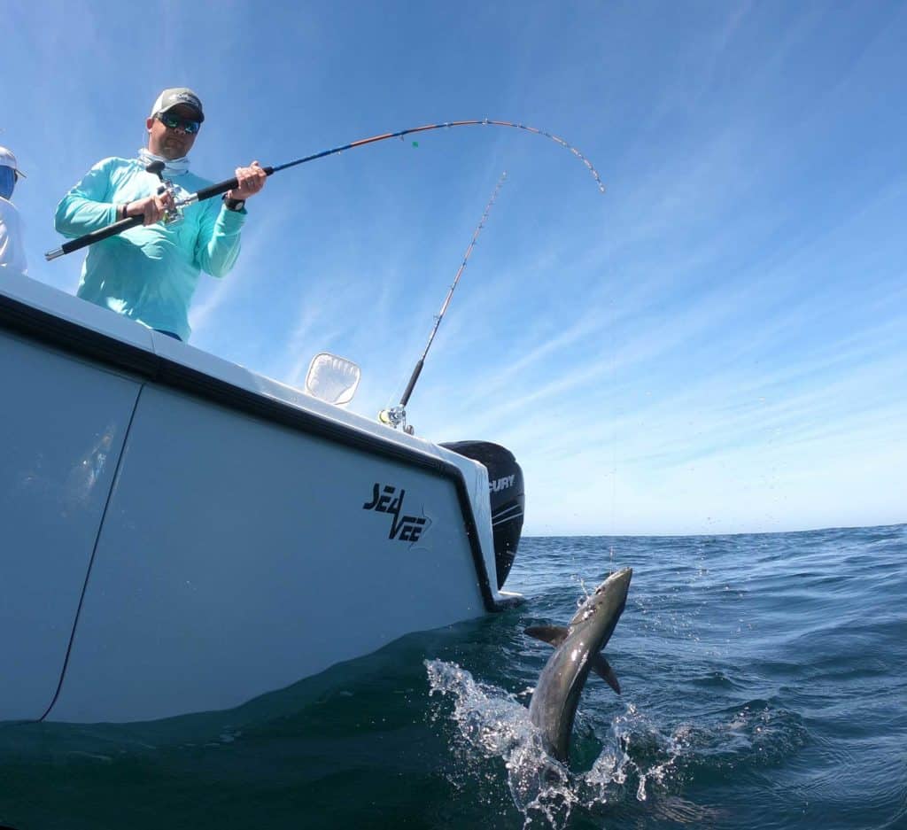 Catching Kingfish Off Cape Canaveral, Florida