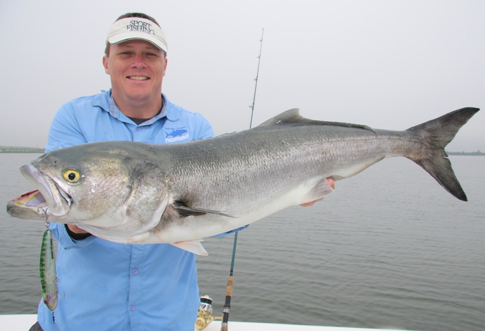 Popping for Bluefish on New York Flats