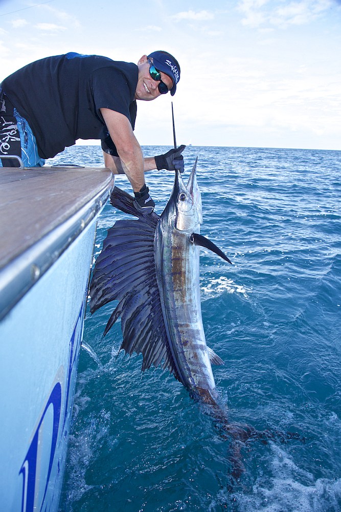 Angler releasing a sailfish caught in Isla Mujeres