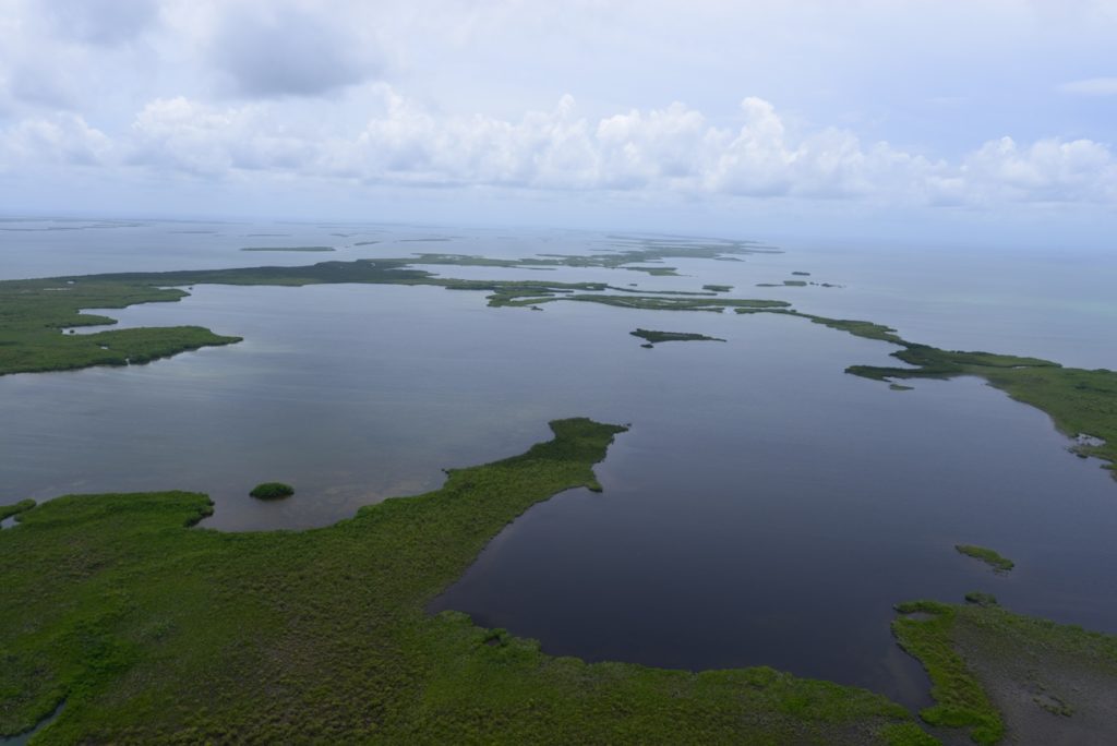 08 courtesy belize tourism board, blue hole ml 091.jpg