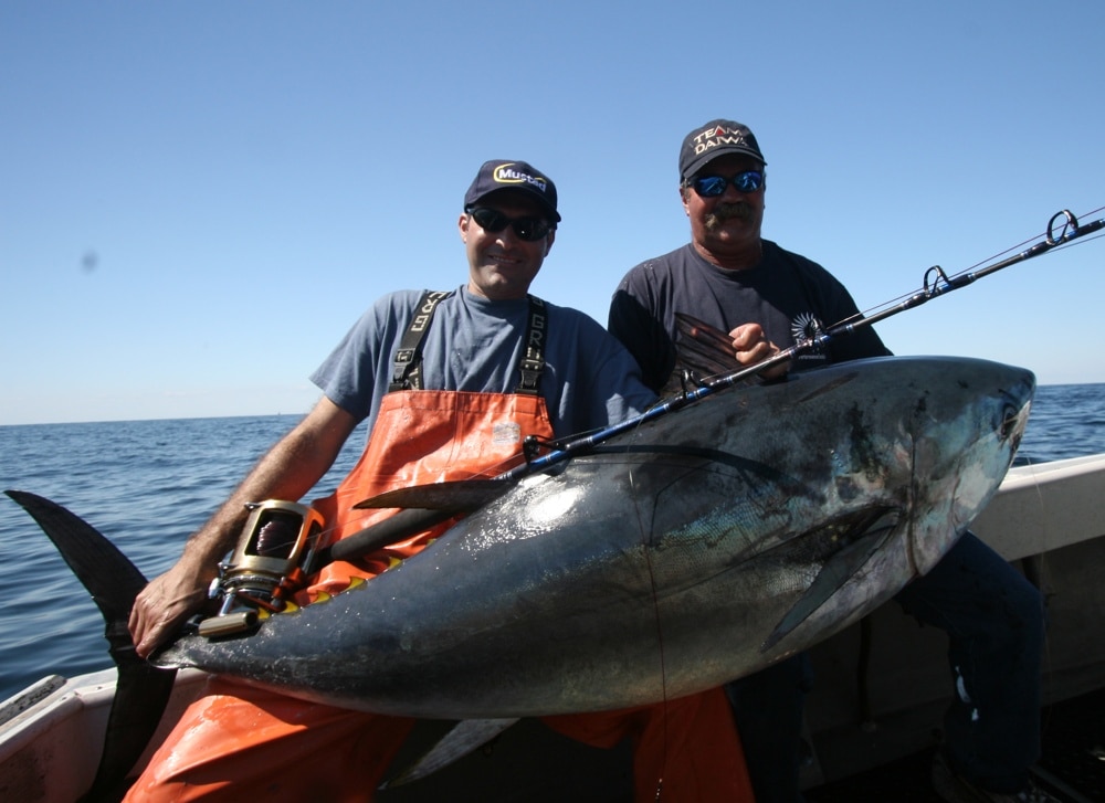 biggest tuna bluefin fishing Stellwagen Bank Cape Cod Massachusetts
