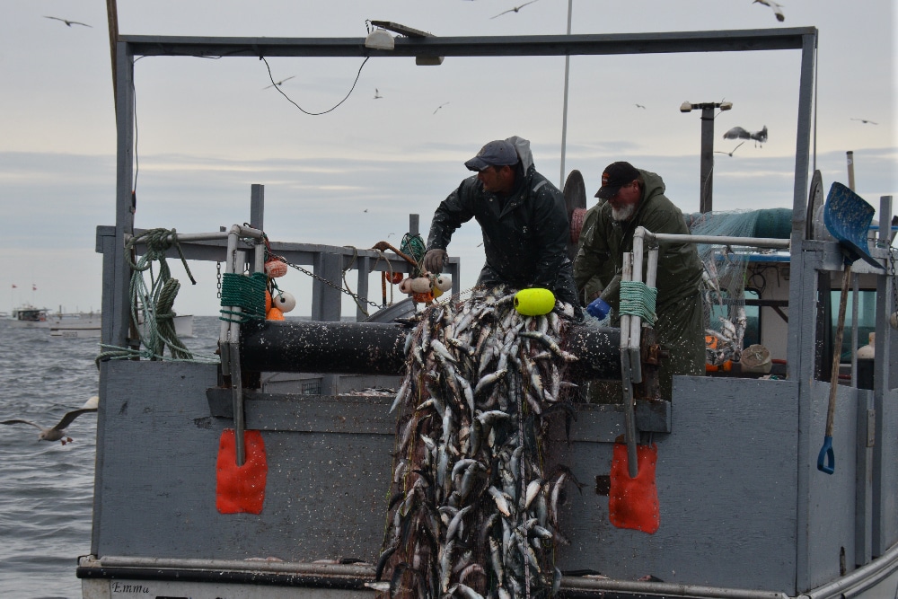 Herring netters PEI