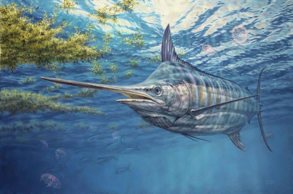 big blue marlin art Don Ray marine fishing artist