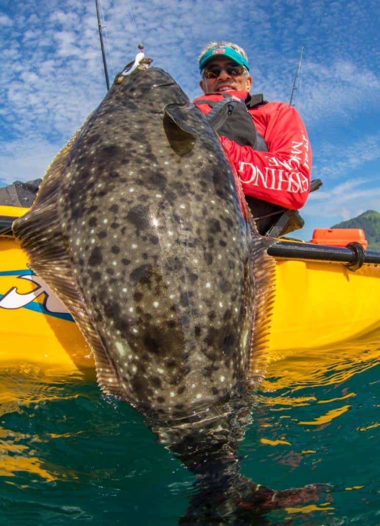 Kayak angler lands large halibut in Prince William Sound, Alaska