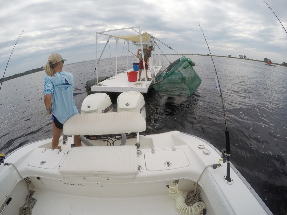 At the live-bait station, Panama City