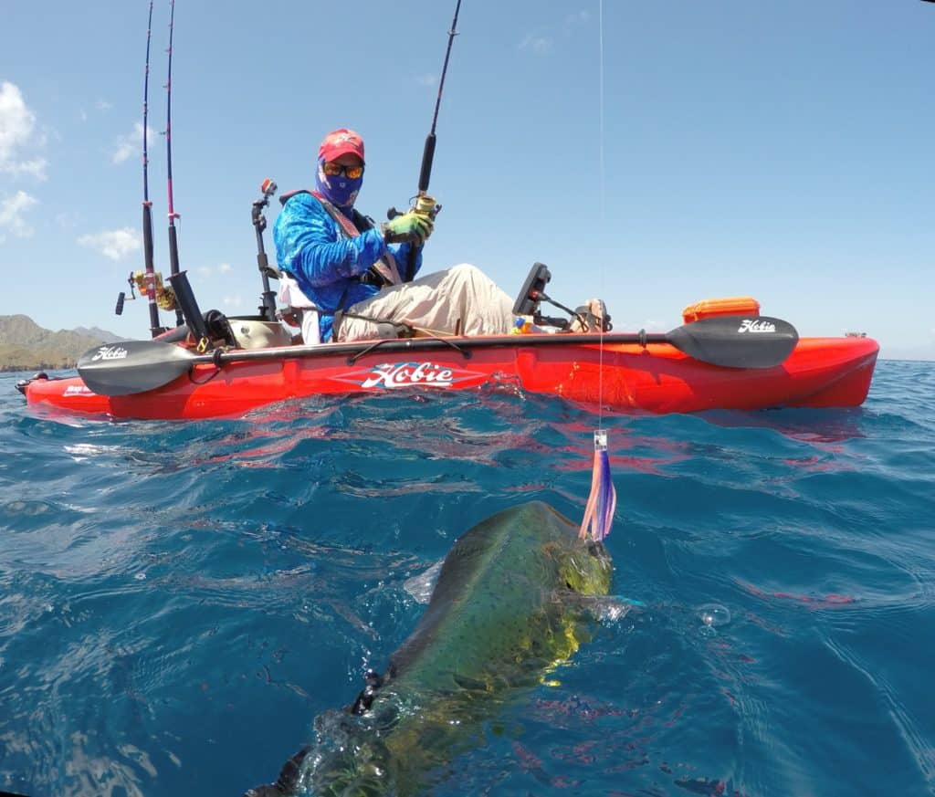 dorado caught saltwater kayak fishing Baja's central Sea of Cortez near Loreto