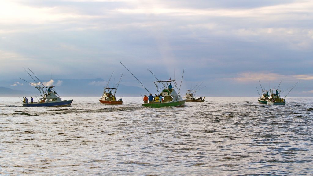 Tropic Star Loge Panama Bertram sportfishing boats