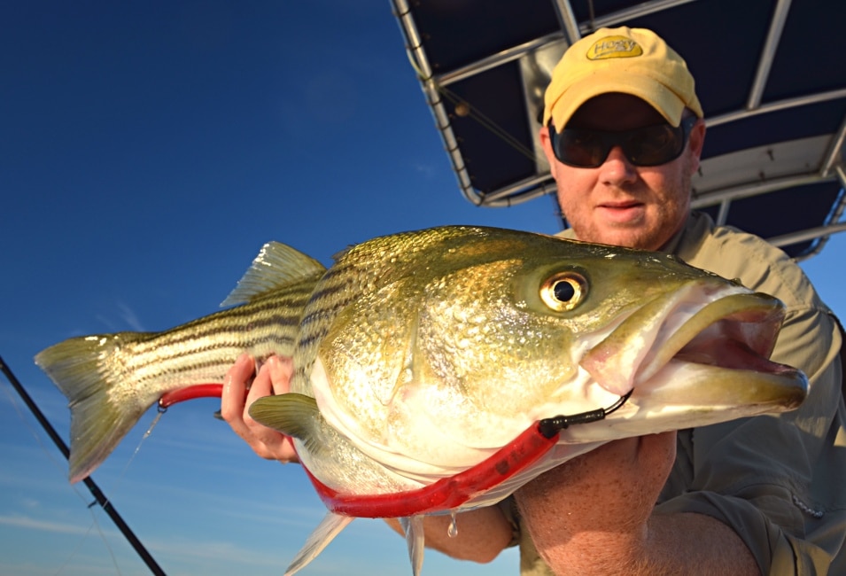 Best fishing vacation Cape Cod, Massachusetts, striped bass