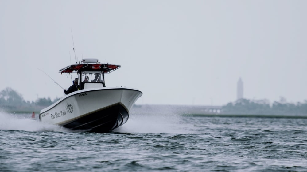 Popping for Bluefish on New York Flats