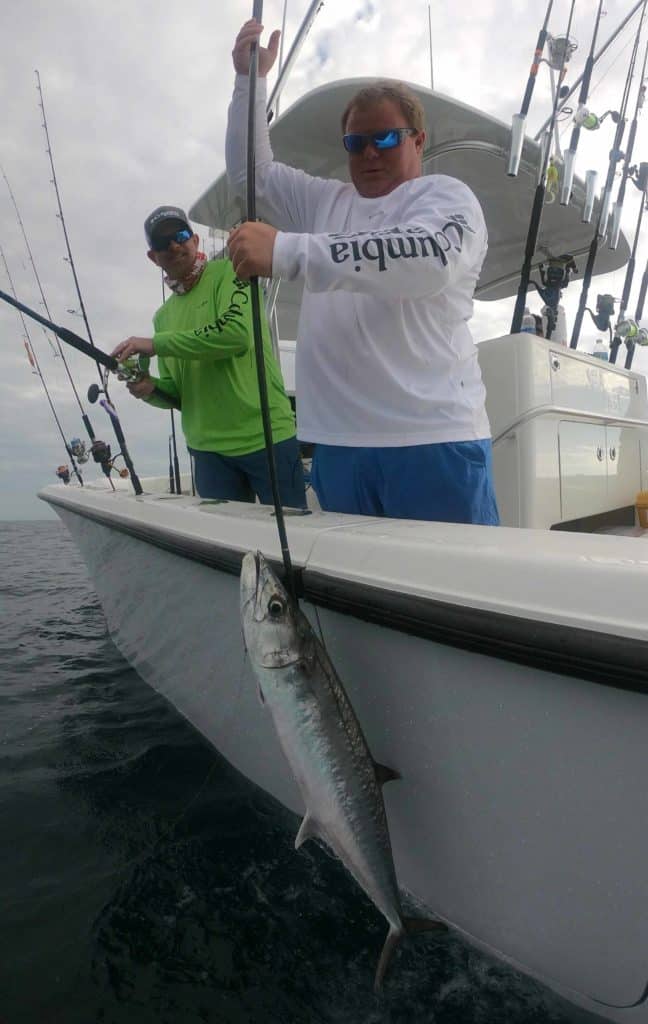 Catching Kingfish Off Cape Canaveral, Florida