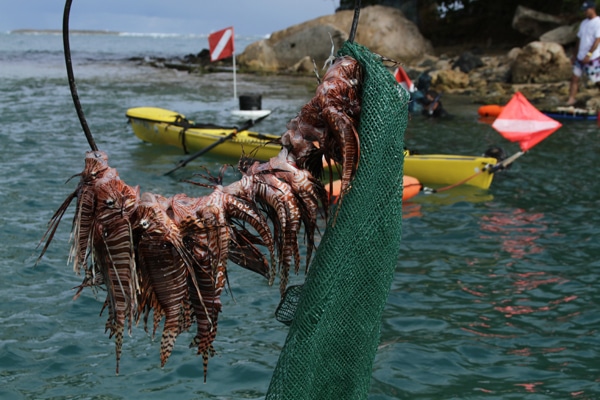 09.puerto-rico-cleanup.jpg