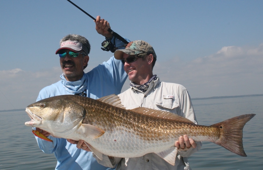 Best Lures for Redfish, Artificial Bait for Red Drum
