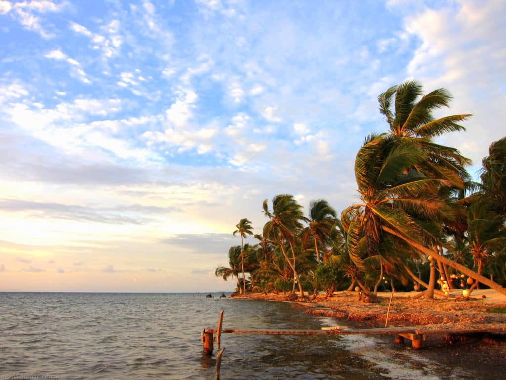 09_03belizescenics-longcayeshoreline.jpg