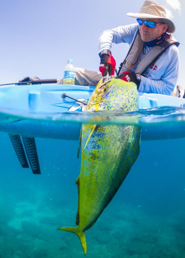 mahi caught saltwater kayak fishing Baja's central Sea of Cortez near Loreto