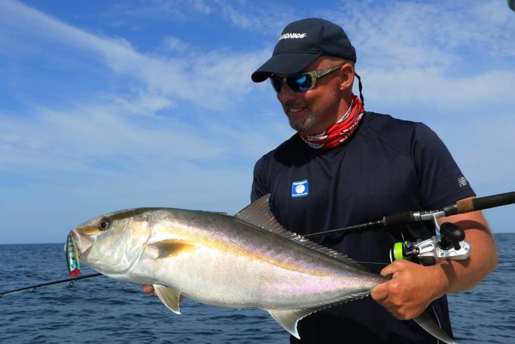 amberjack caught fishing Marco Island, Florida