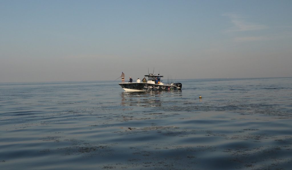 Fishing floating grassline off Crystal River, Florida