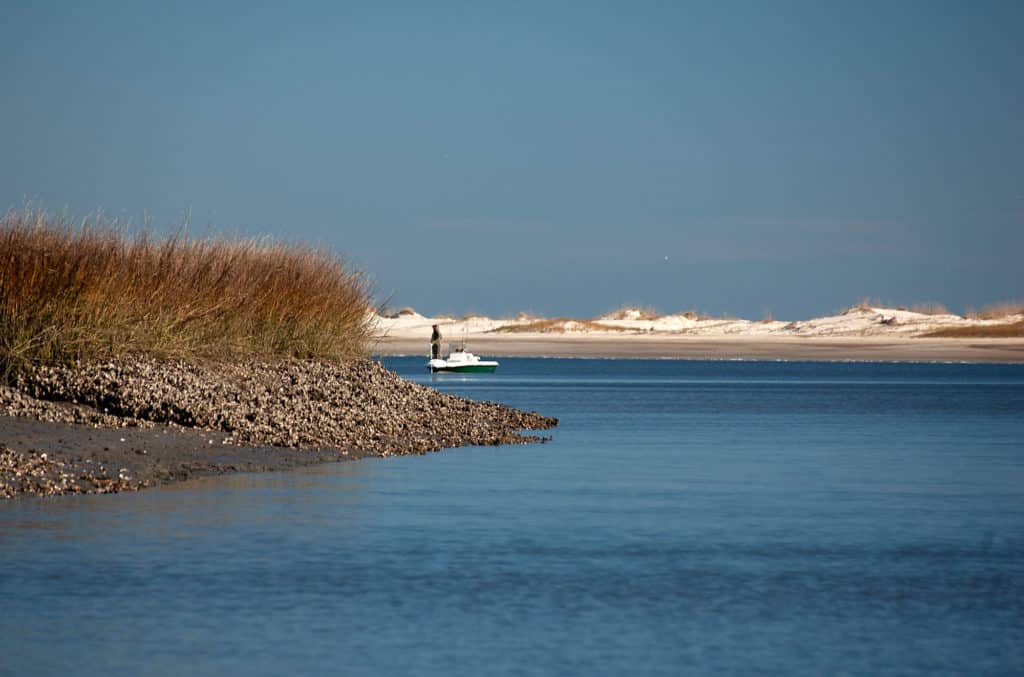 Near-low tide in coastal Georgia