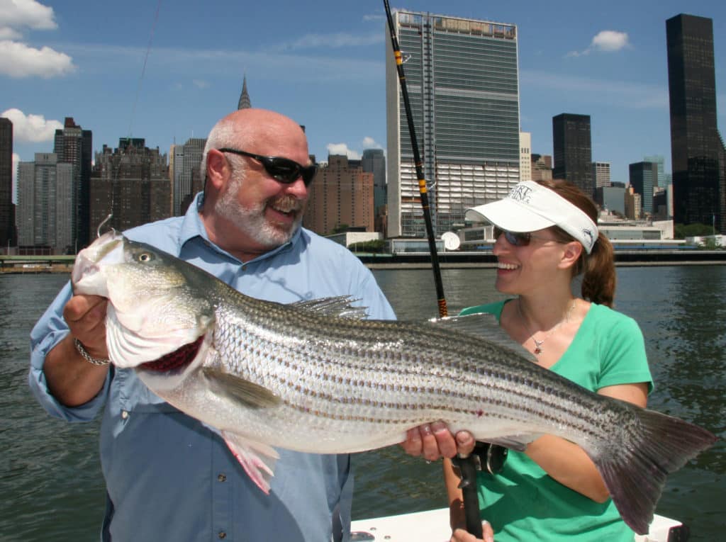 Large striped bass caught along the waterfront