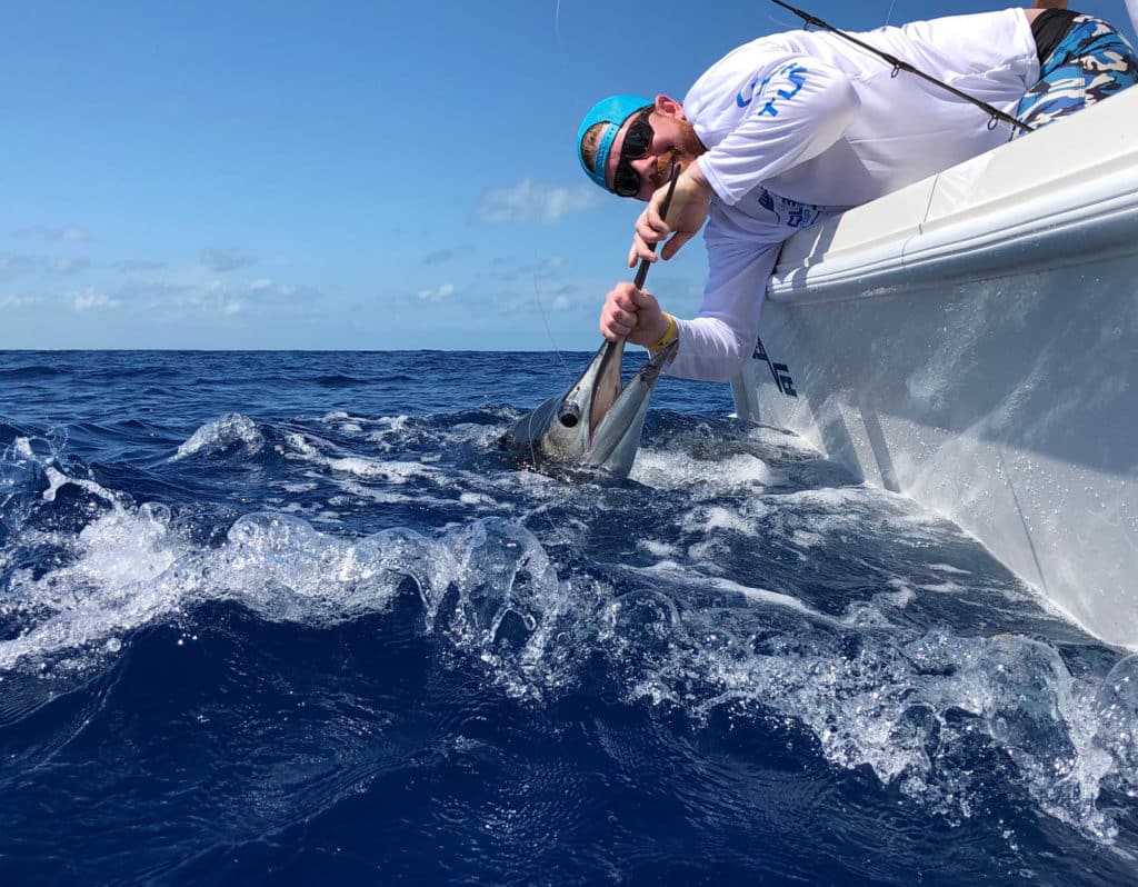 Sailfish brought boatside