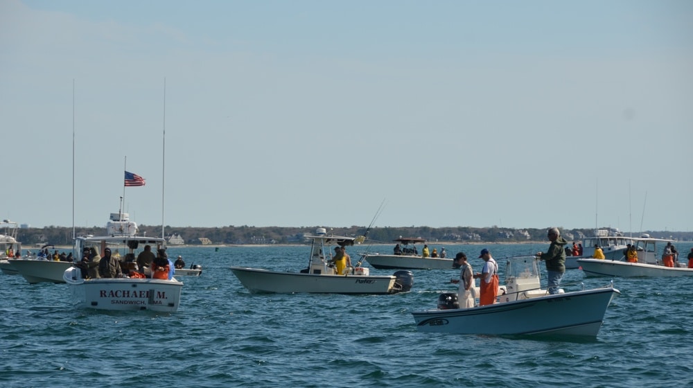 Spring Squid-Fishing Riot in the Northeast