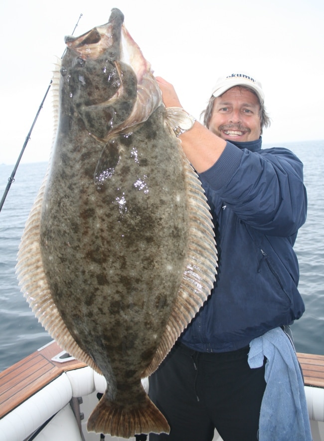 Best fishing vacation Catalina Island, Southern California, halibut