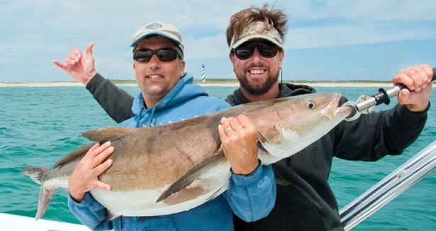 Mid-Atlantic Cobia Fishing Run