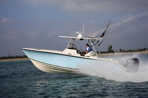 100-06br_cobia300.jpg