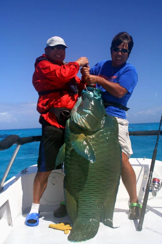 Two anglers lifting a hefty wrasse
