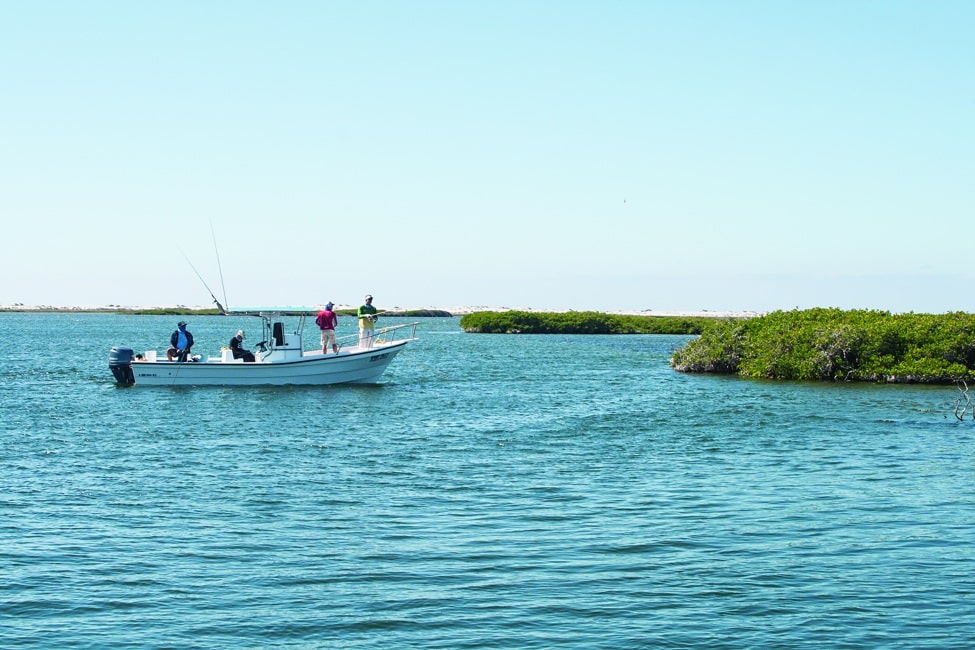 Fishing from pangas