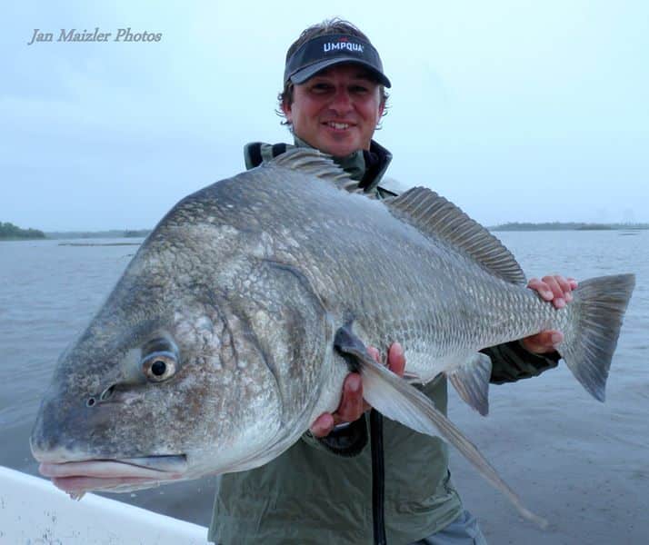 Black Drum Fishing Photo