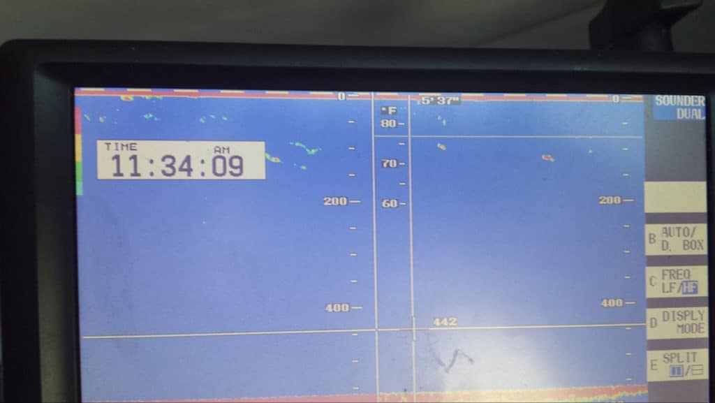 Lowrance tuna screenshot