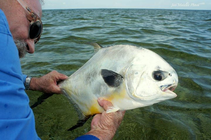 Permit Sight Fishing photo