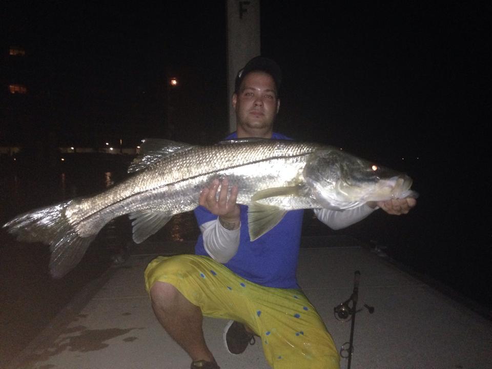 Huge Snook Fishing Photo