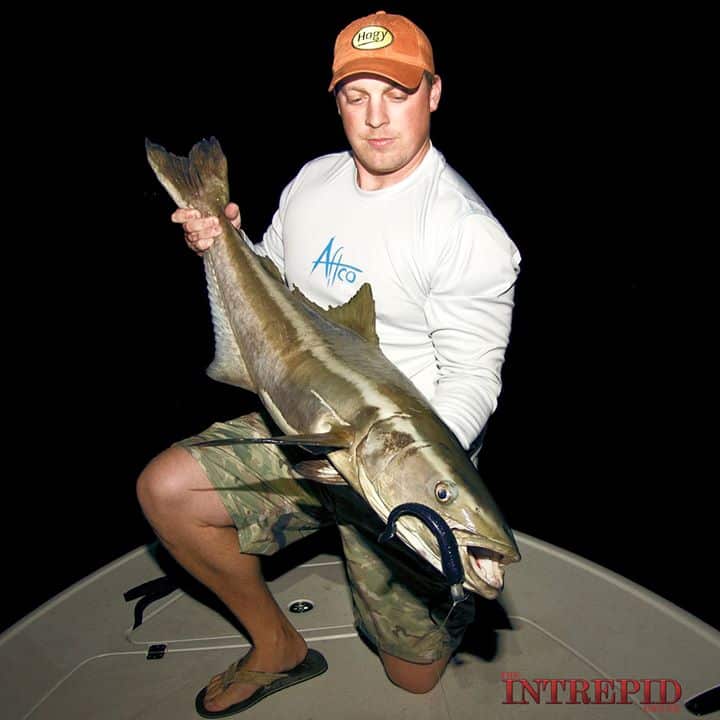 Cobia Fishing Photo Florida