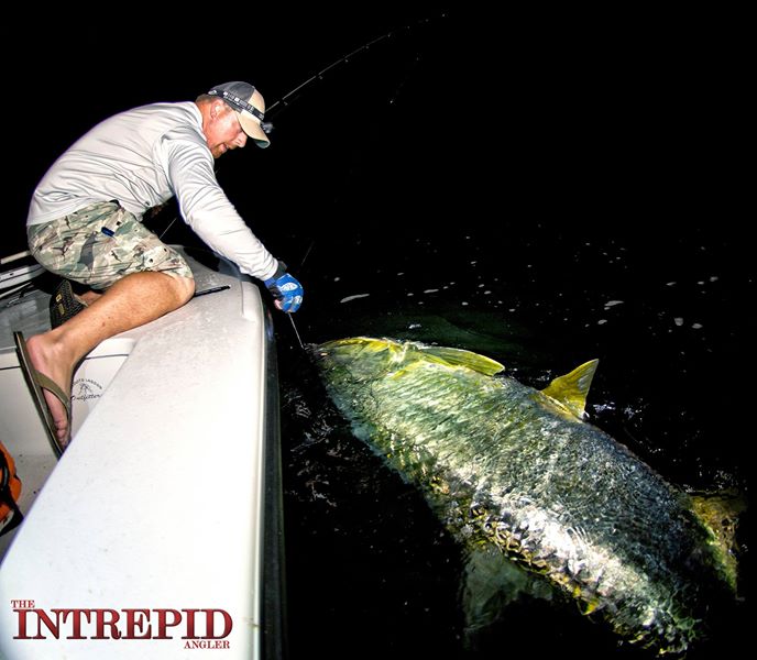 Huge Tarpon Florida Fishing Photo