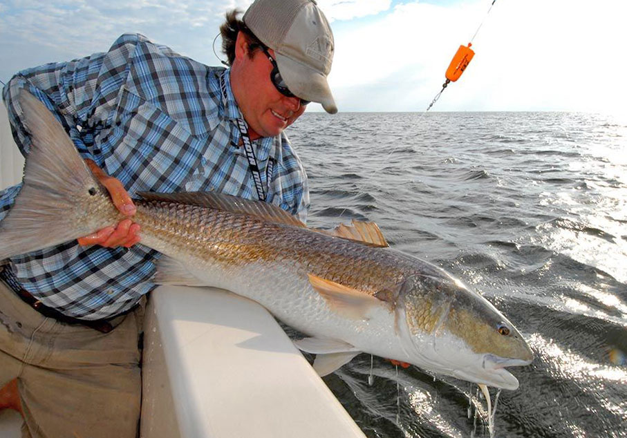 Angler releasing a redfish into North Carolina's Pamlico Sound
