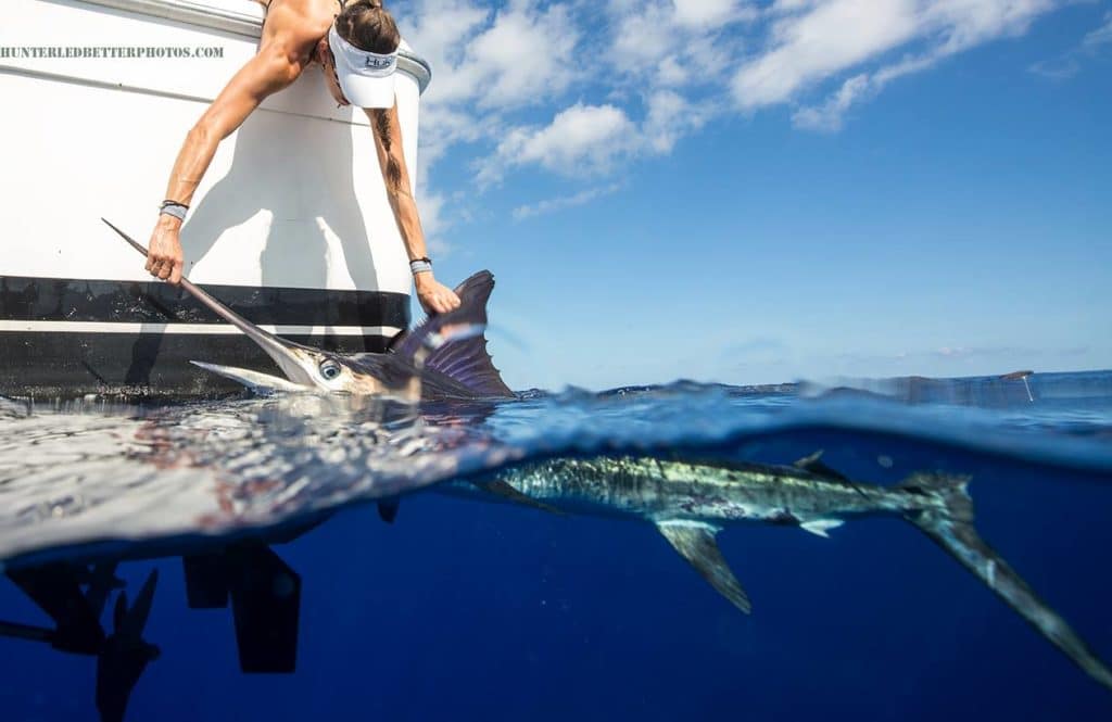 striped marlin catch