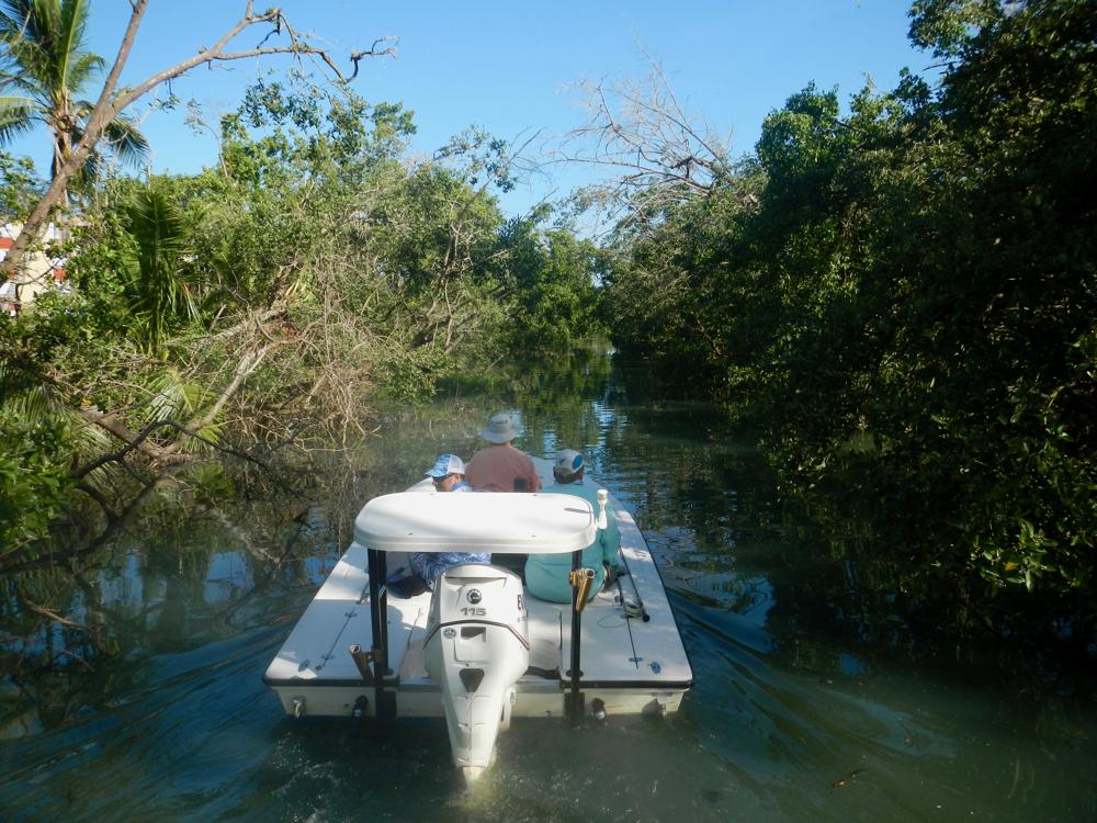 A flats skiff negotiates one of the narrow creeks that connects Puerto Rico's maze of urban lagoons.