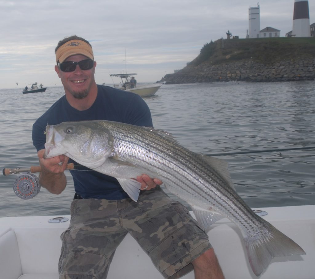 Angler holding a striper caught on fly in Montauk, Long Island, New York while flats fishing
